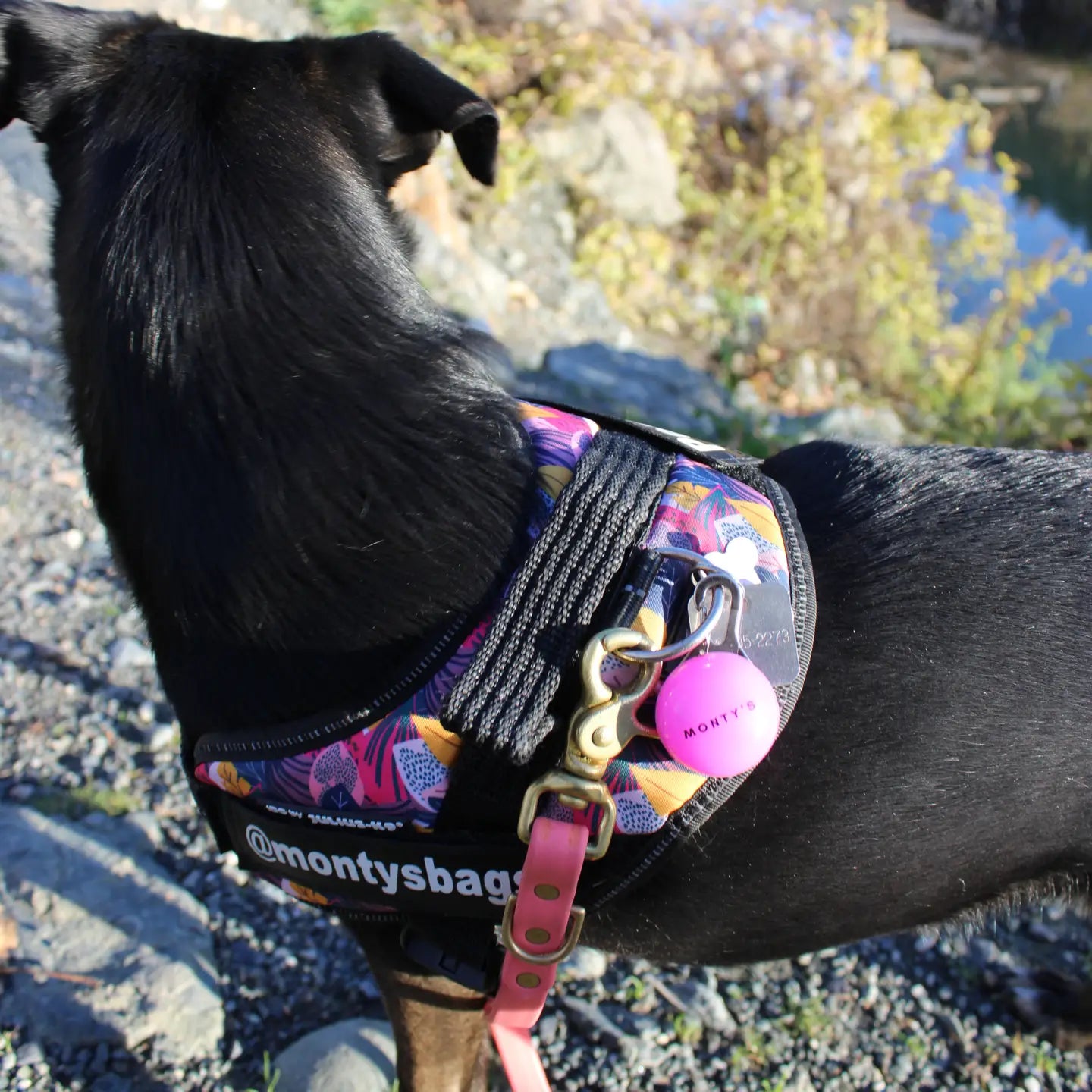 Monty's USB Rechargeable Flashing Dog Collar/Harness Light - Pink