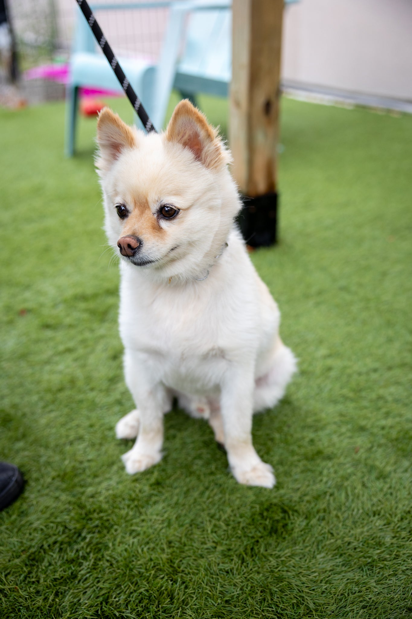 Milo