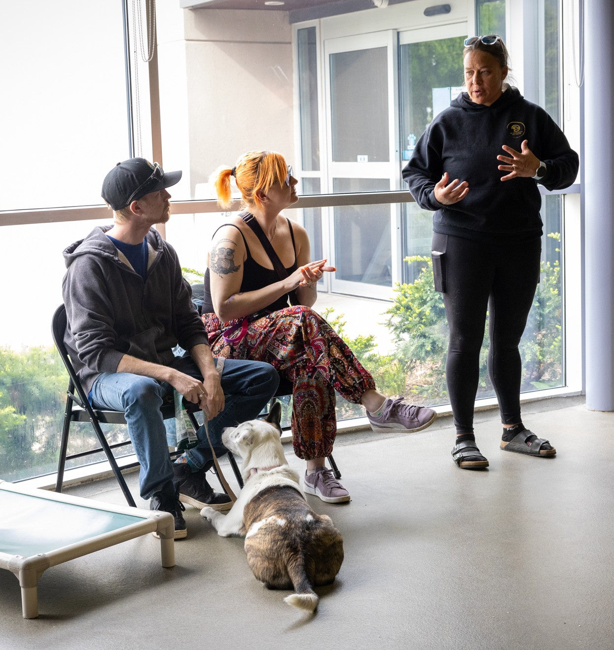 K9 Principles Dog Training