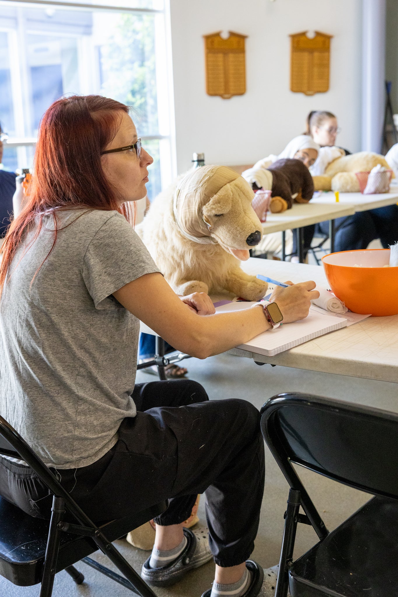 Pet First Aid Course