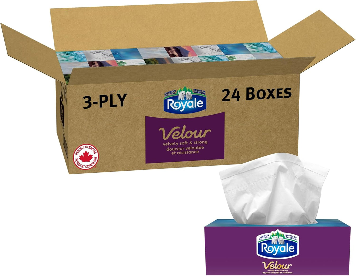 Facial Tissue