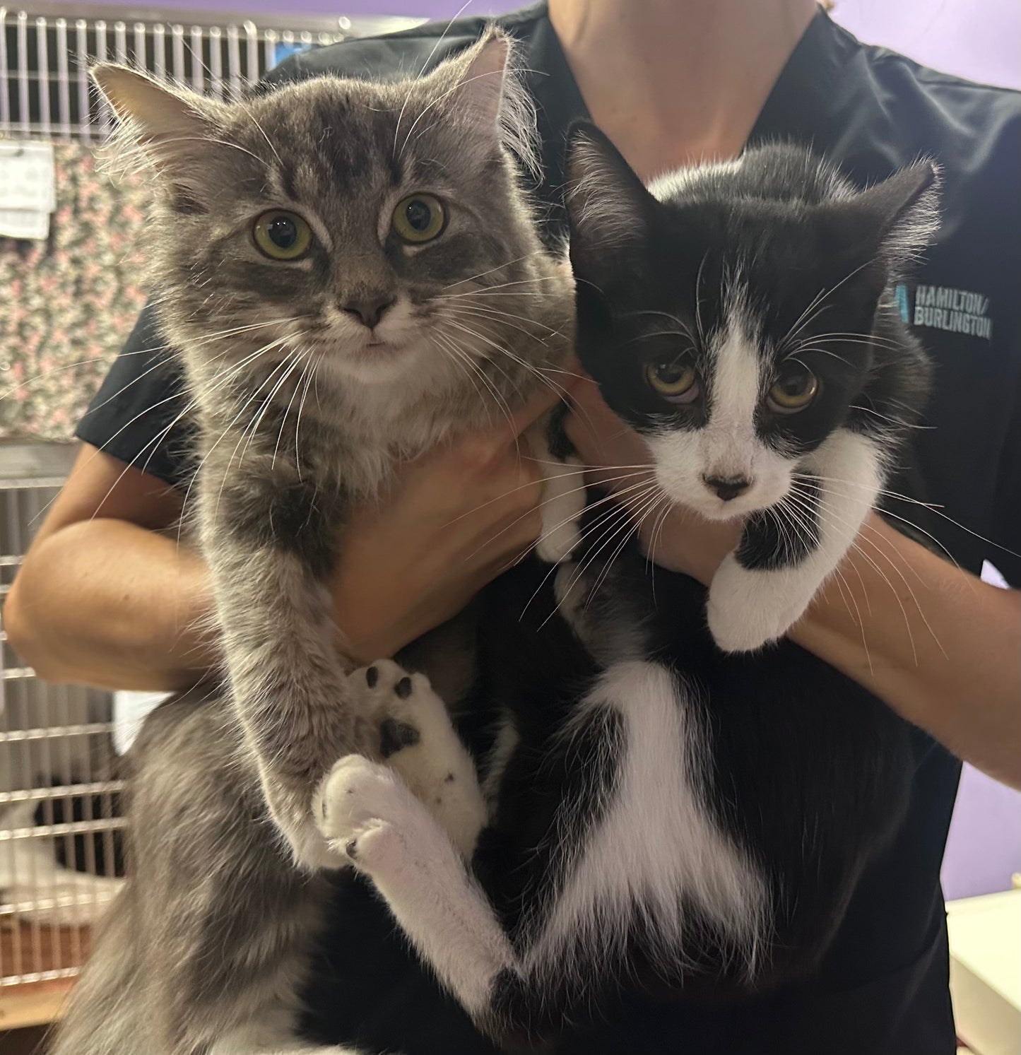 Taco & Tuesday (Barn Buddy Program)