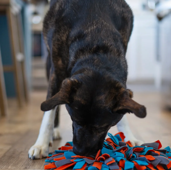 Messy Mutts - Forage Mat