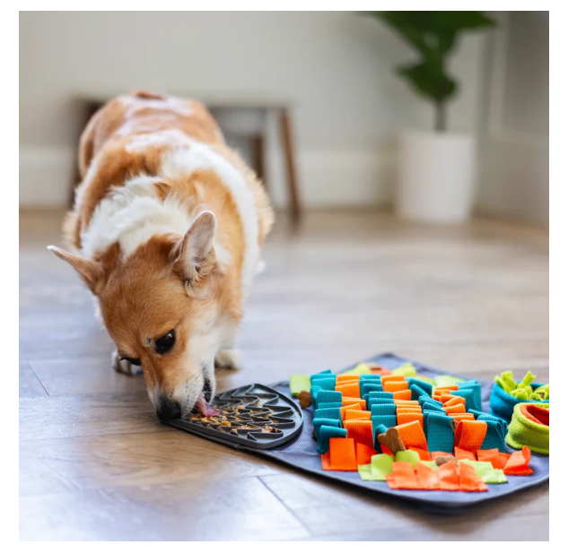 Messy Mutts - Forage Mat Plus Lick Pad