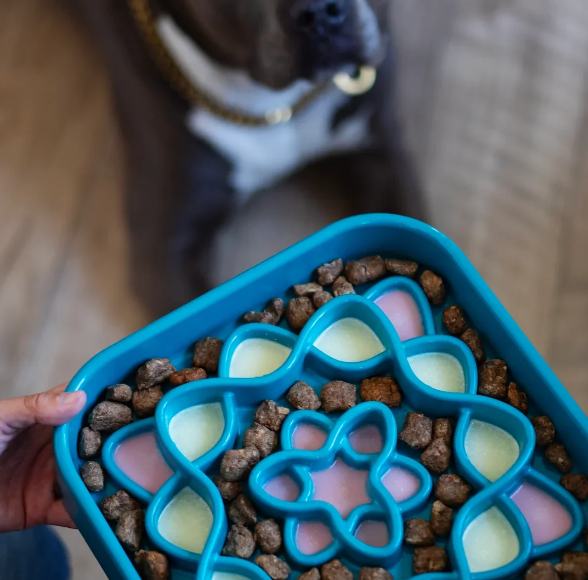 Messy Mutts - Square Slow Feeder - 2 Cup