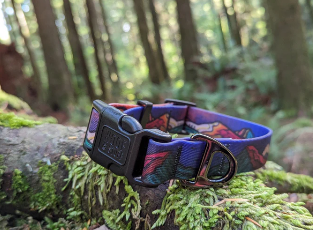 Woof & Stuff - Midnight Sun Waterproof Collar