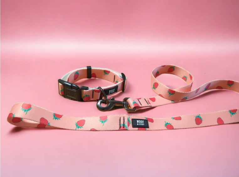 Woof & Stuff - 4ft Strawberry Leash