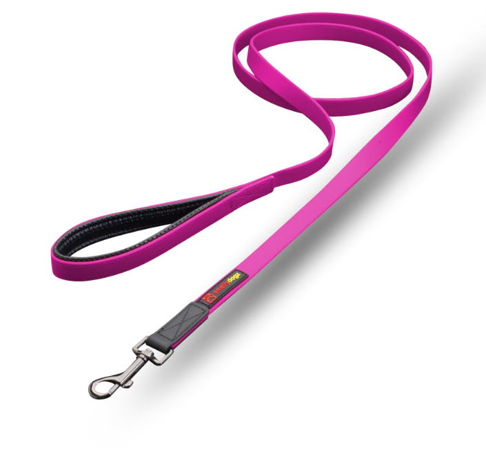 Smelly Dogs - 6ft Small Comfort Lead 5/8"