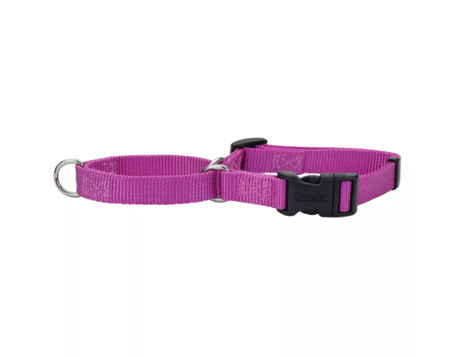 No Slip! Martingale Collar With Buckle - Orchid