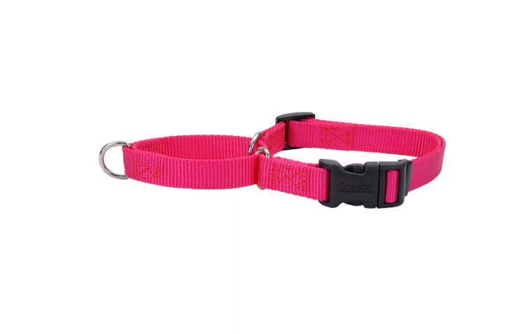 No Slip! Martingale Collar With Buckle - Flamingo
