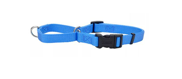 No Slip! Martingale Collar With Buckle - Blue Lagoon