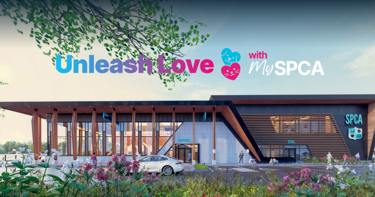 Unleash Love Donation