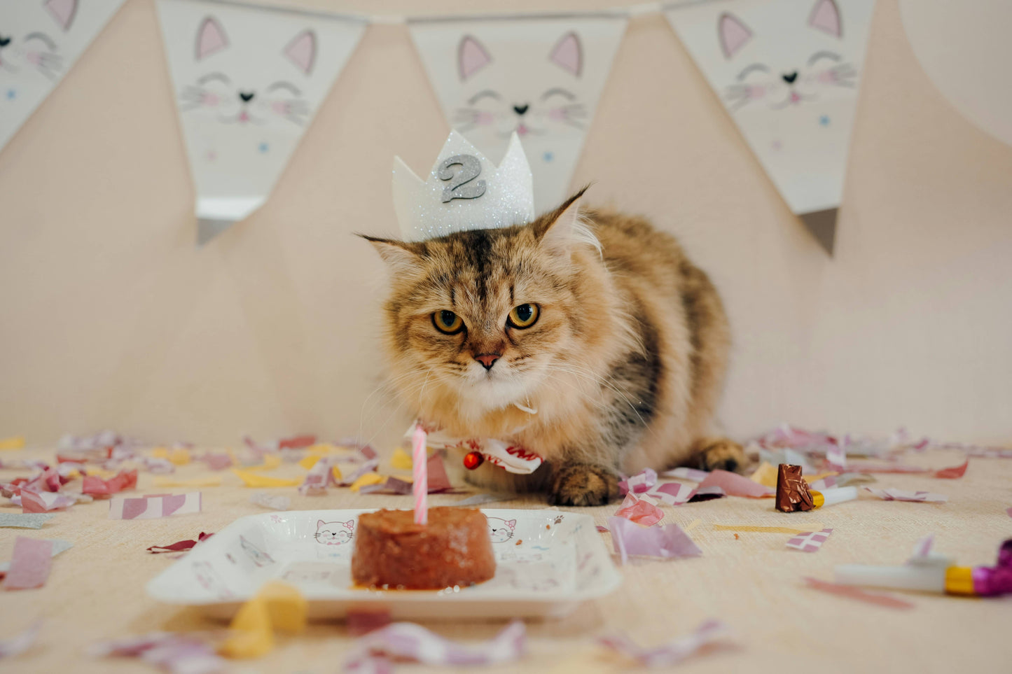 Meow-gical Birthday Party