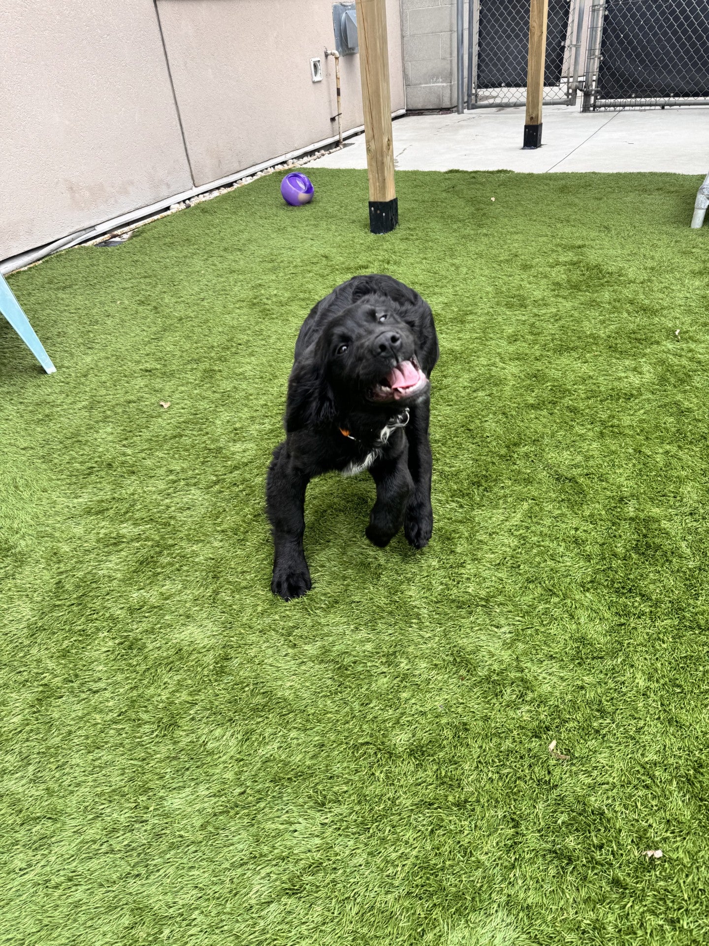 Matilda