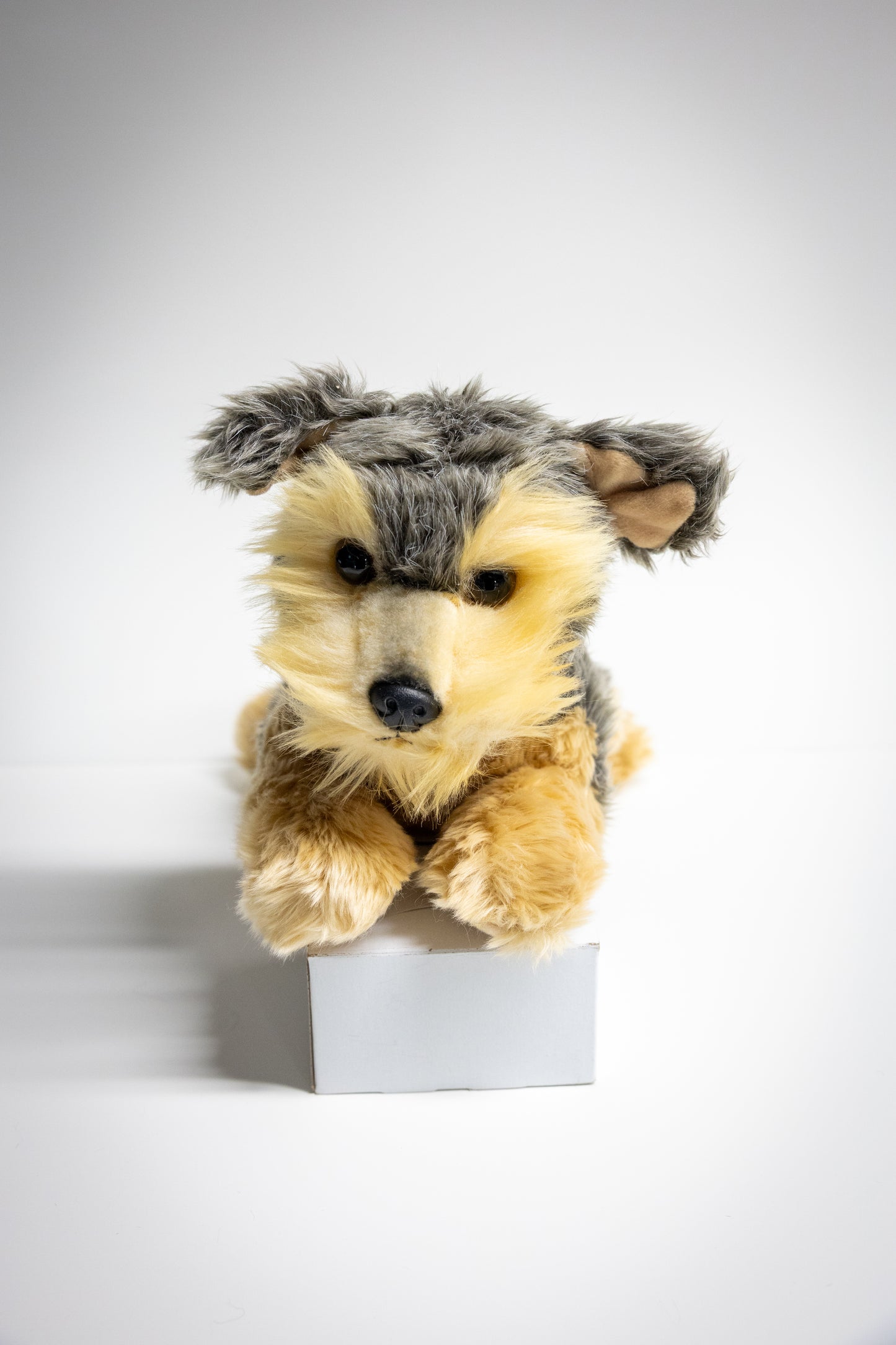 Dog & Cat Plush with Adoption Kit | Stuffed Animal Toy