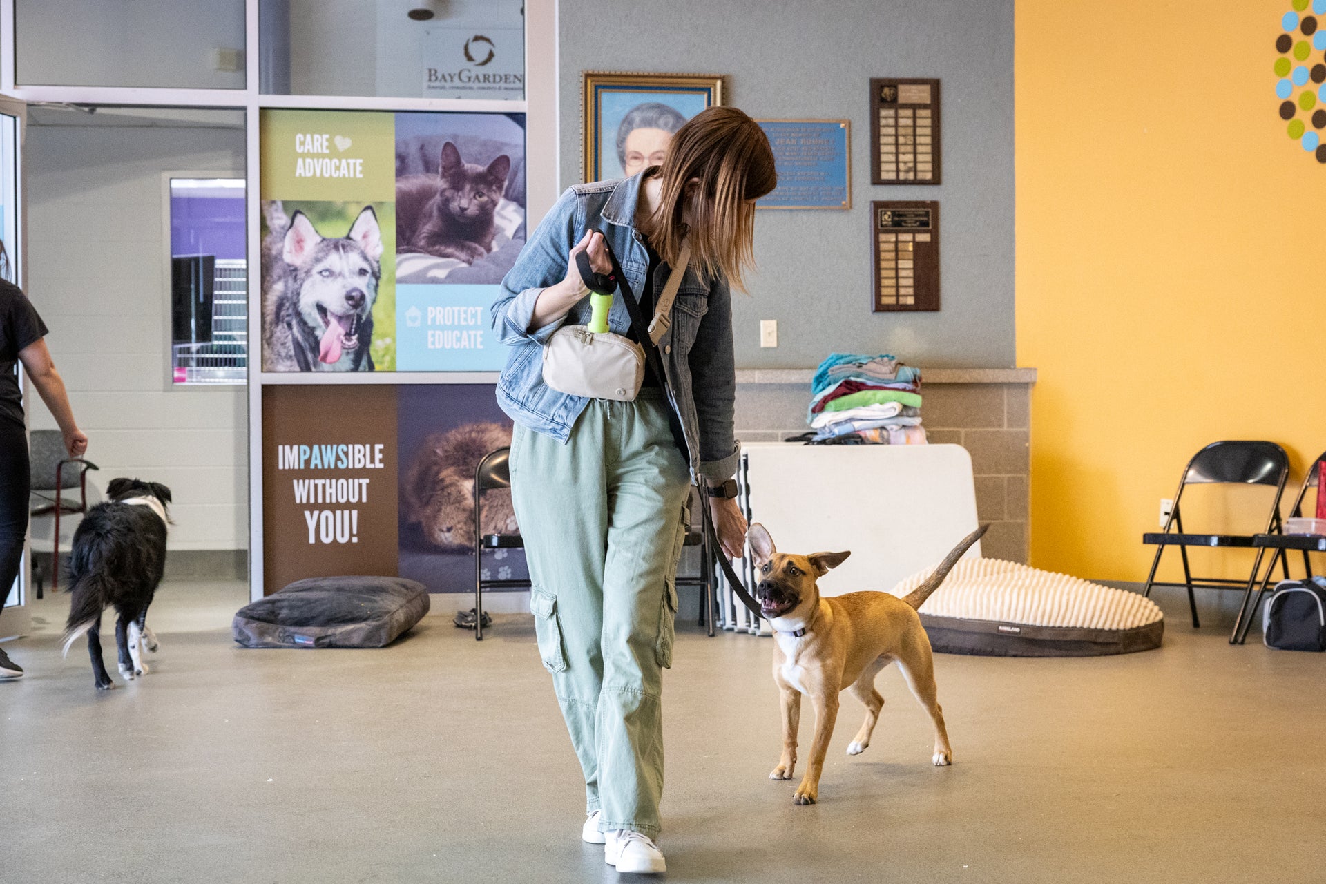 K9 Principles Dog Training Level One: Sit Stay