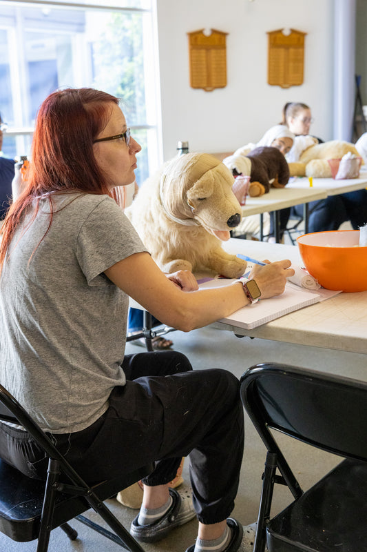 Pet First Aid Course