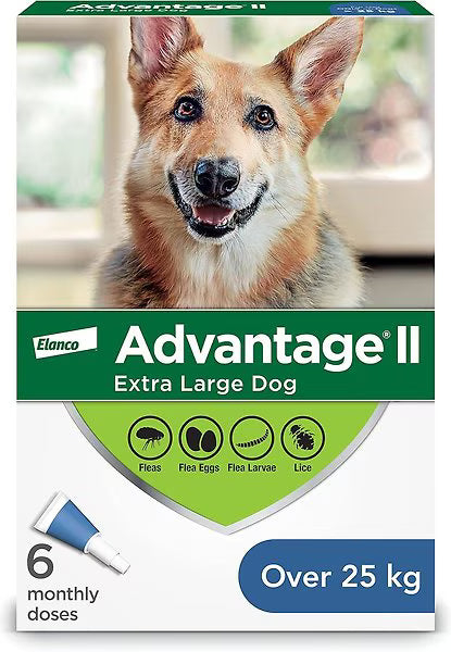 Canine Advantage Extra Large 6 Months