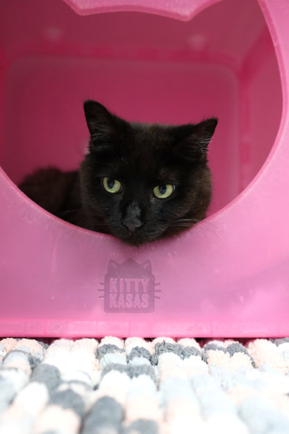 Brie & Pickles (Bonded Pair)