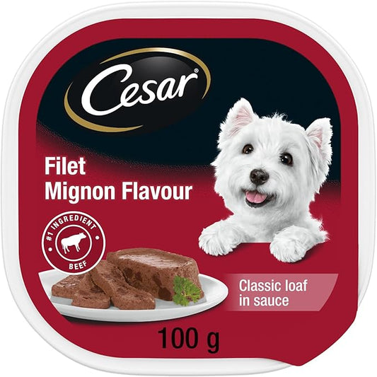 CESAR Dog Food Wet Classic Loaf in Sauce Entrées - Filet Mignon, 100g Tray (24 Pack)