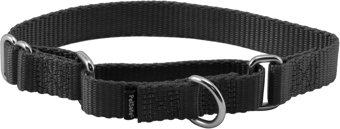 PetSafe Martingale Collar, 3/4" Small, Black