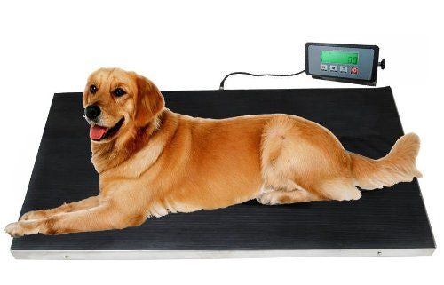 Large Dog Scale