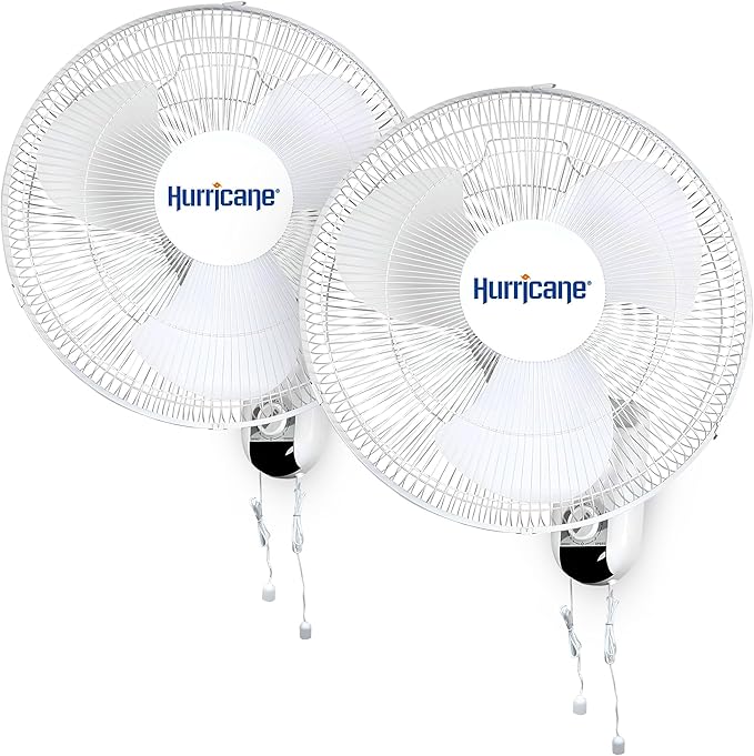 Wall Mount Fan