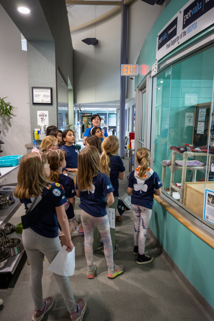 Shelter Discovery Tour (HBSPCA)
