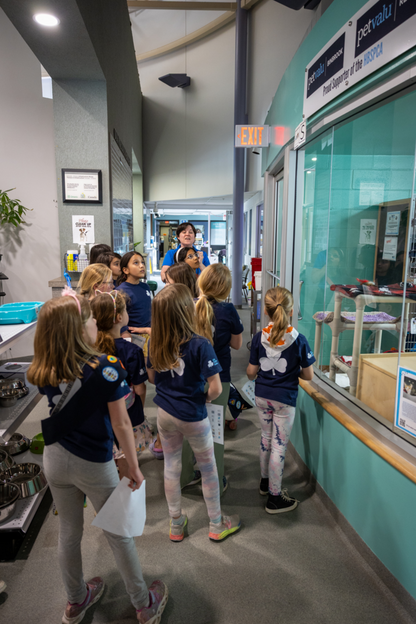 Shelter Discovery Tour (HBSPCA)