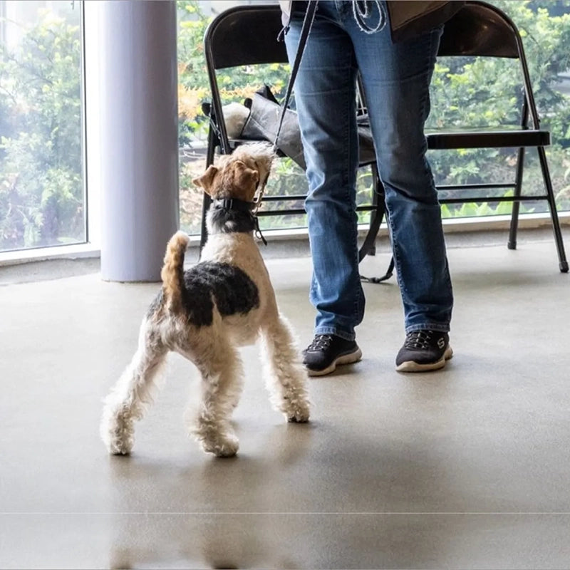 1:1 Training Sessions