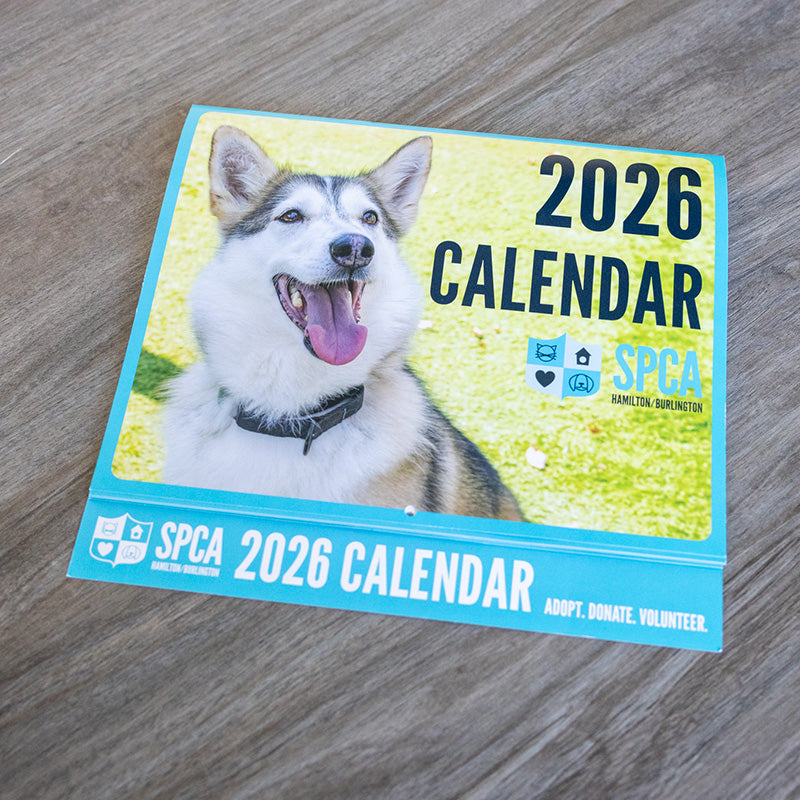 2026 Calendar