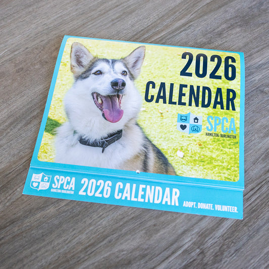 2026 Calendar