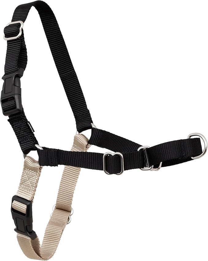 PetSafe Easy Walk Harness, No Pull Harness for Dogs, Adjustable Harness with Included Matching Lead, Black, Large