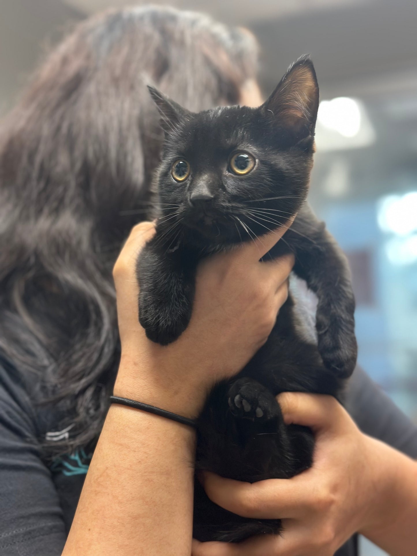 Frankie