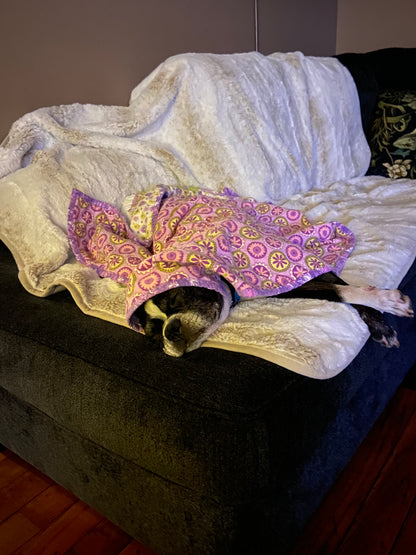 Bebe
