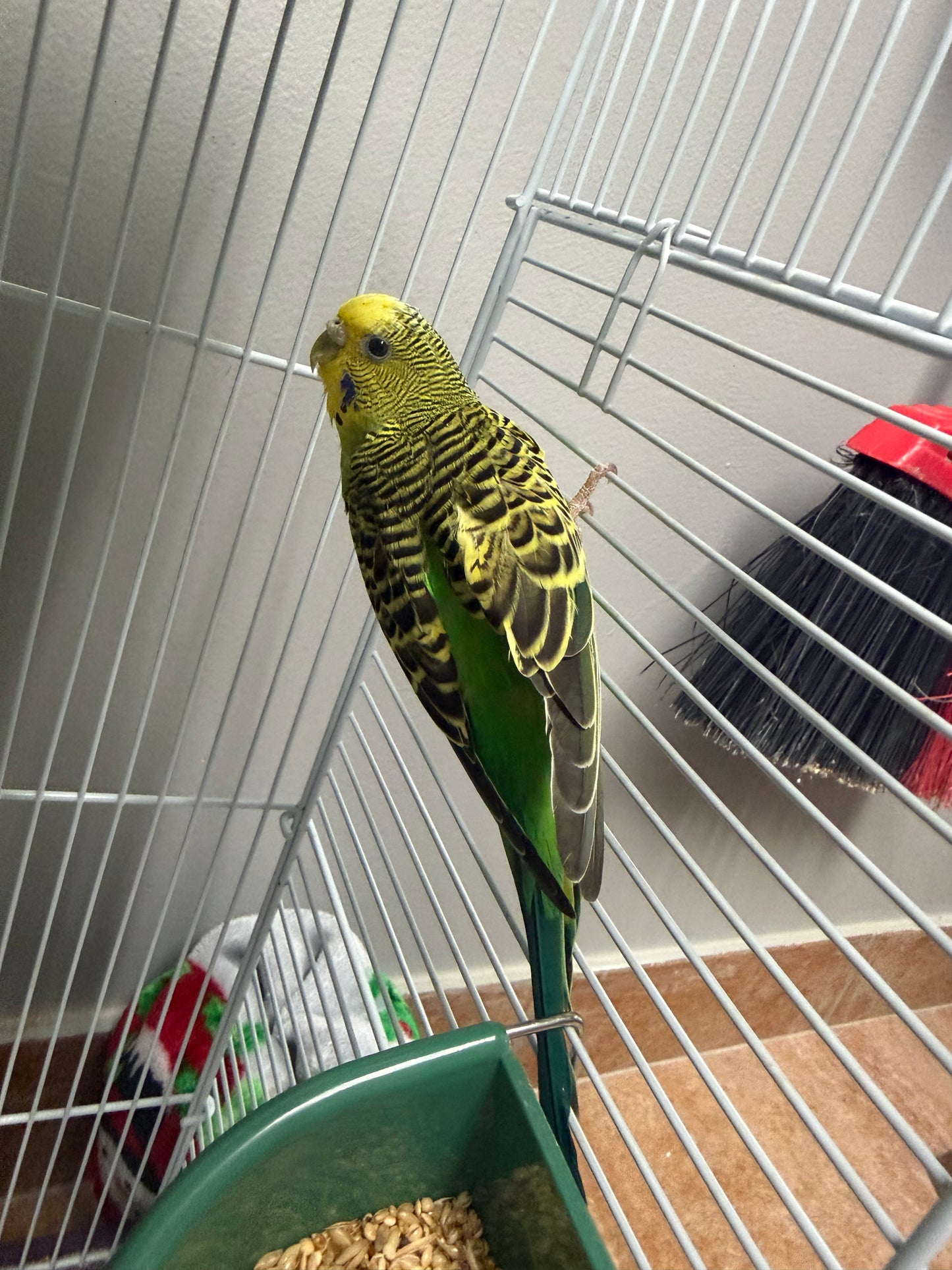 Tinkerbell