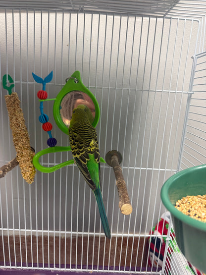 Tinkerbell
