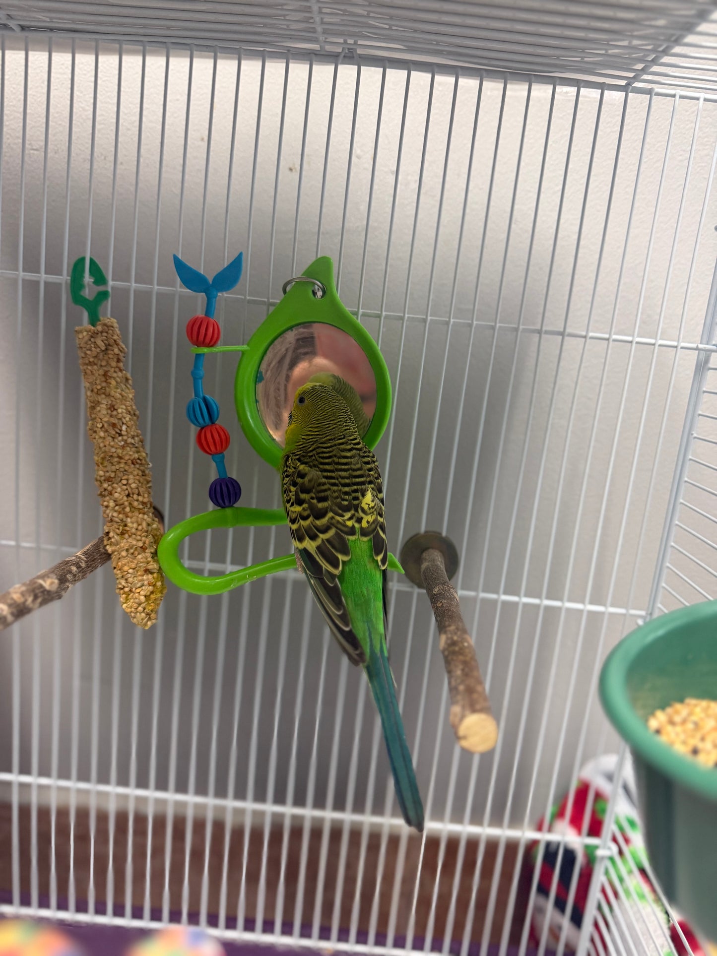Tinkerbell