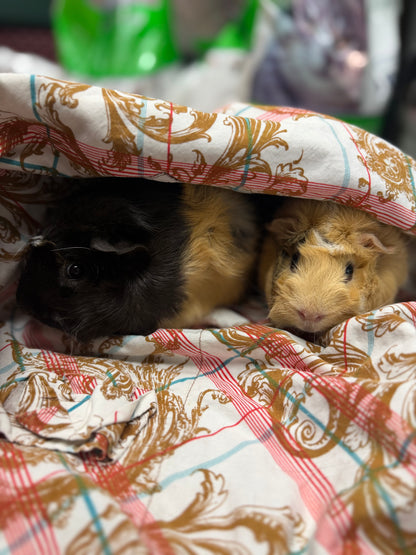 Polly & Penelope Pocket