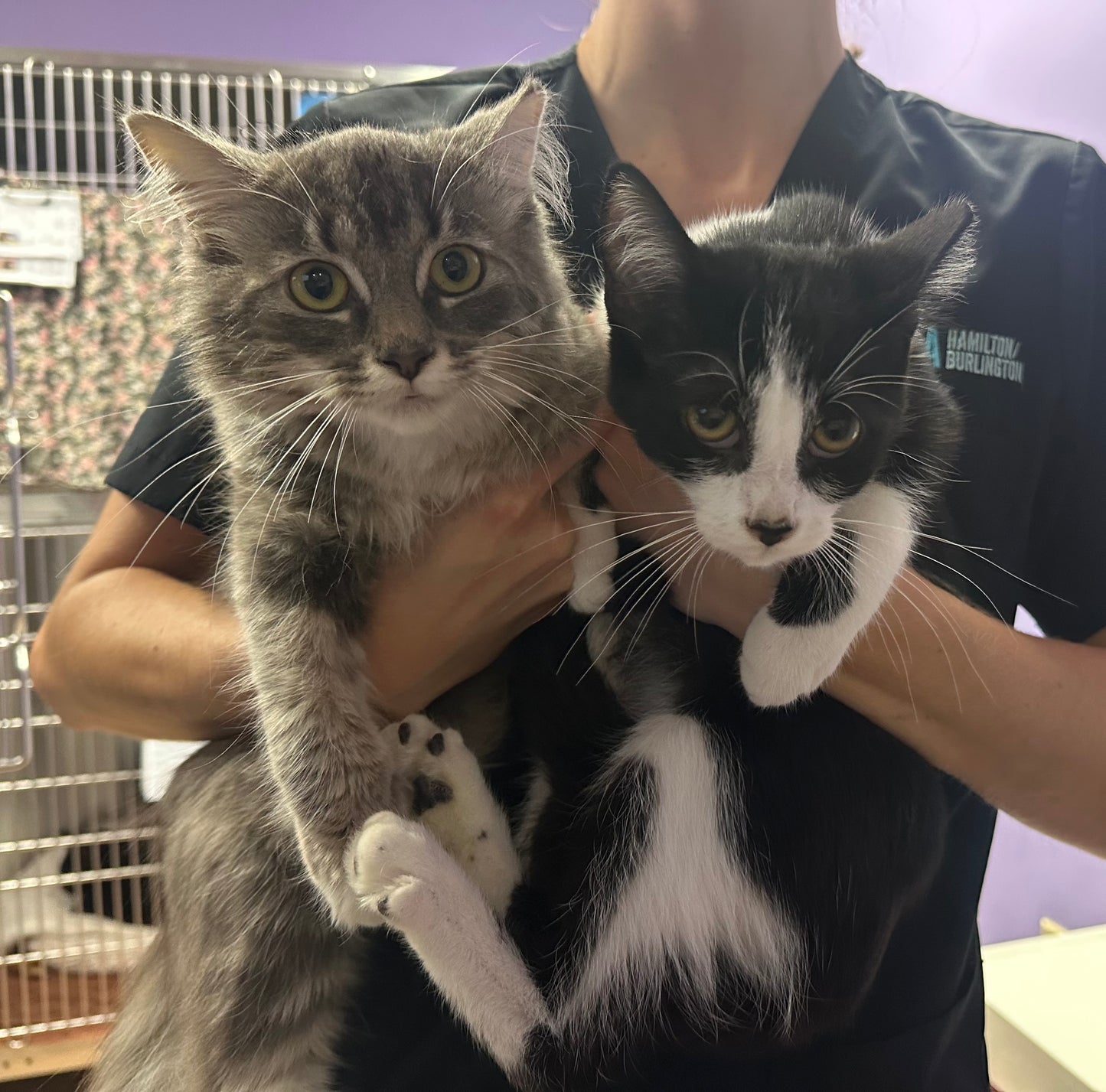 Taco & Tuesday (Barn Buddy Program)