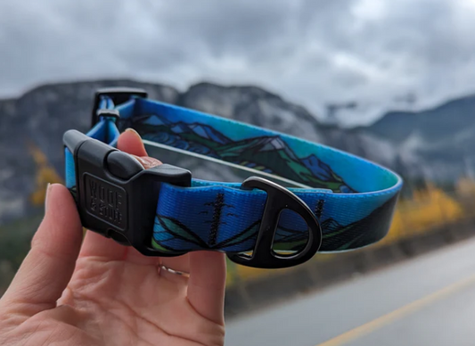 Woof & Stuff - West Coast Waterproof Collar