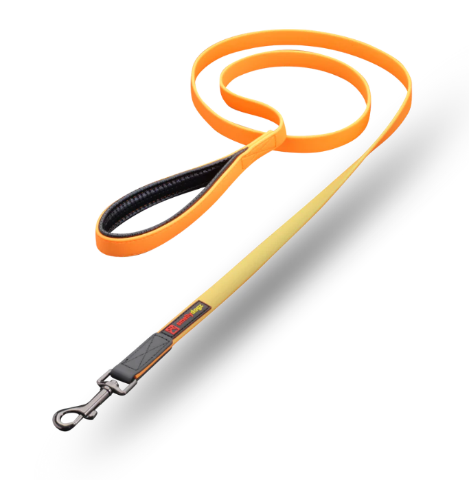 Smelly Dogs - 6ft Small Comfort Lead 5/8"