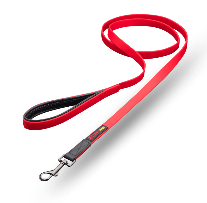 Smelly Dogs - 6ft Small Comfort Lead 5/8"