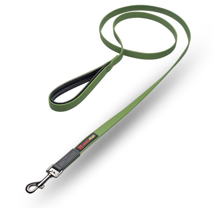 Smelly Dogs - 6ft Small Comfort Lead 5/8"