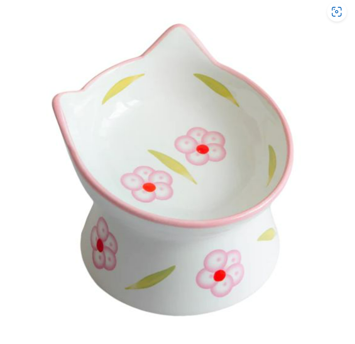 Dexypaws - Raised Ceramic Cat Bowl