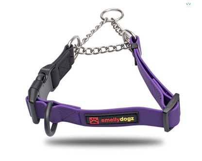 Smelly Dogs Martingale - Small/ Medium 3/4"