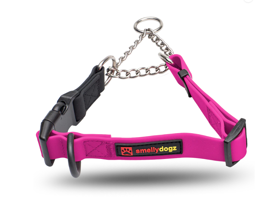 Smelly Dogs Martingale - Small/ Medium 3/4"