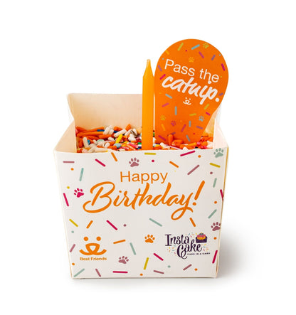 Insta Cake Pet Celebration Kit