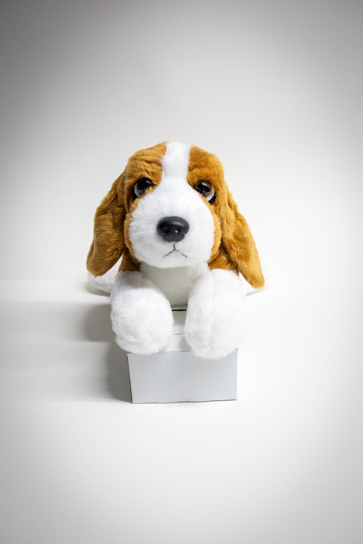 Dog & Cat Plush with Adoption Kit | Stuffed Animal Toy