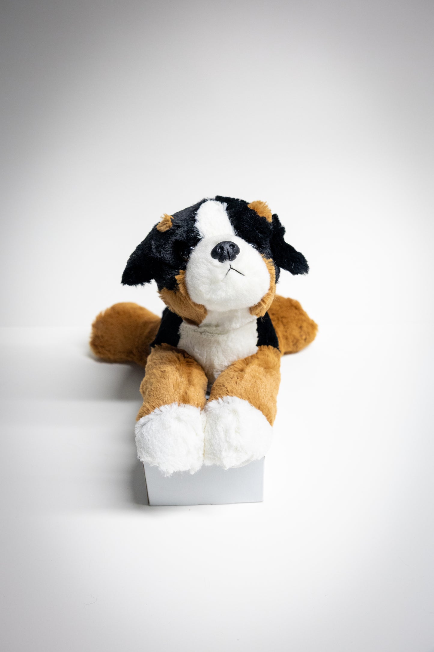Dog & Cat Plush with Adoption Kit | Stuffed Animal Toy